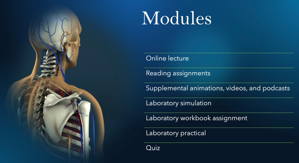 Modular anatomy and physiology components to cover each body system